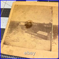 1880s FLORAL CITY Florida FL DUVAL ISLAND from HOTEL Antique STEREOVIEW PHOTO