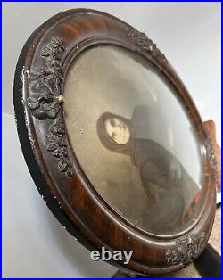 1920s Antique Faux Tiger Oak Domed Convex Bubble Glass Wood Frame 24 x 18 Oval