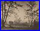 1925-Original-Autumn-Trees-Landscape-M-KOKUBUN-Los-Angeles-Art-Collotype-Photo-01-nbf