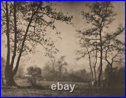 1925 Original Autumn Trees Landscape M. KOKUBUN Los Angeles Art Collotype Photo