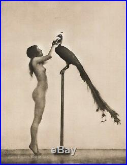 1925 Original WILLIAM MORTENSEN Female Nude And Peacock Art Deco Collotype Photo