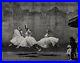 1938-72-Vintage-ANDRE-KERTESZ-New-York-City-Ballet-Dancers-Ballerina-Photo-11x14-01-dzex