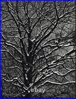 1939 Vintage BRASSAI Paris First Snow On Tree Branches Original Photo Gravure