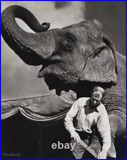 1940s Vintage CIRCUS ELEPHANT Foot Grooming Ringling Bros Animal Photo Art 12x16