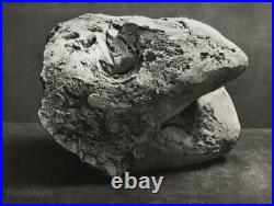 1949 Brassai Original Photo Art Of Pablo Picasso 1933 Abstract Plaster Sculpture