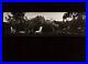 1955-80-Original-JOSEF-SUDEK-Silver-Gelatin-Photo-MAGIC-GARDEN-Czech-PANORAMA-01-vs