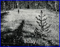 1959 Vintage ANSEL ADAMS Mountain Meadow Child Landscape Photo Gravure Art 11x14