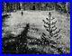 1959-Vintage-ANSEL-ADAMS-Mountain-Meadow-Child-Landscape-Photo-Gravure-Art-11x14-01-zoa
