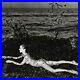 1980s-Vintage-HELMUT-NEWTON-Female-Nude-Woman-In-Seaweed-France-Photo-Art-11X14-01-co