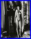 1992-Vintage-HELMUT-NEWTON-Domestic-Female-Nude-Fashion-Photo-Gravure-Art-16X20-01-mlra
