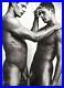 2000-Vintage-BRUCE-WEBER-Male-Nude-Model-CARLSON-Twins-Duotone-Photo-Art-16X20-01-iags
