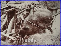 ANTIQUE VINTAGE CHINA CHINESE TURN 19th CENTURY PIPE PEASANT DEAD PIG RARE PHOTO