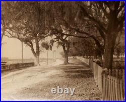 ANTIQUE VINTAGE PONCE DE LEON LIGHTHOUSE NEW SMYRNA FL OLD FLORIDA 1890s PHOTO