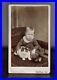 Antique-CDV-Photo-Boy-Wearing-Dress-Holding-Cat-Indiana-Photographer-1800s-Rare-01-lfr