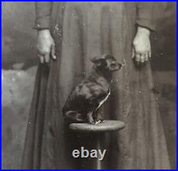 Antique Cabinet Card Photograph Bizarre Chihuahua Dog Strange Odd Pittsburg KS