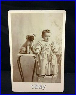Antique Cabinet Photo Photograph YOUNG GIRL WITH PUPPY DOG