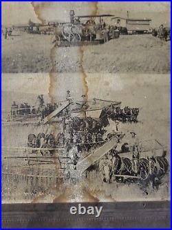 Antique Original Photo Harvesting 50 Acres A Day 52 Horses 22 Men Farming Photo