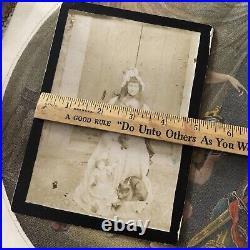 Antique Photo On Board Kitty Cats And Doll Fabulous