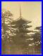 Antique-Photo-Original-Early-1900s-Nara-Japan-Temple-Buddhist-01-gyku