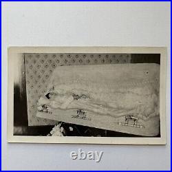 Antique Snapshot Photograph Beautiful Woman Post Mortem Coffin ID Wortmann