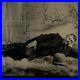 Antique-Tintype-Photograph-Handsome-Dapper-Man-Laying-On-Side-Gay-Int-01-yhf