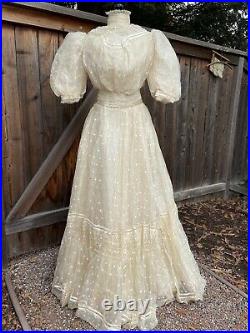 Antique Victorian Dress 1890s Wedding Gown Silk Organza Photo 5 Piece 1900s