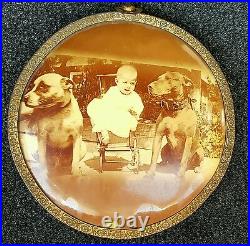 Antique Vintage American Pit Bulls Dog Baby Chicago Medallion Button Rare Photo