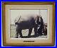 Antique-Vintage-Circus-Picture-Bull-Elephant-Photograph-Framed-01-qww