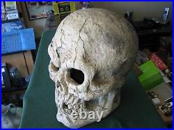 Antique Vintage Large 14 SKULL As Shown In Photo's