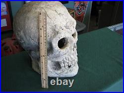 Antique Vintage Large 14 SKULL As Shown In Photo's