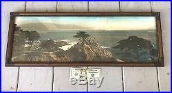 Antique Vintage Lone Cypress Tree Monterey California Panoramic Tinted Photo
