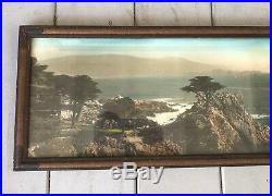 Antique Vintage Lone Cypress Tree Monterey California Panoramic Tinted Photo