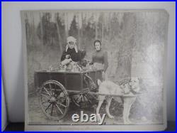 Antique photo two Flemish milkmaids w extinct draught dog breed Belgian Mastiff