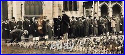 Armistice Day (1930/31) Oversize Collection (18 vintage photographs)