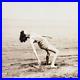 Back-Bend-Beach-Babe-Photo-1940s-Annapolis-Maryland-Barefoot-Woman-Girl-MD-A1616-01-ukai
