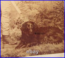 CDV Flat Coated Retriever Dog Hunter Gasson Rawtenstall Antique Photo