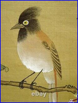 CHINESE PAINTING HANGING SCROLL CHINA FLOWER BIRD Old VINTAGE PICTURE d831
