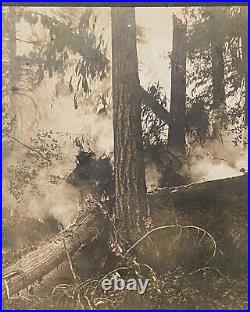 Forest Fire Hand Colored Flames Landscape Antique Cabinet Card Vintage Photo