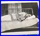 Ladies-Portrait-Lounging-snap-shot-Early-1900-s-Antique-Photo-3-by-4-in-01-mjz