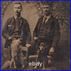 Leesville Ohio Men With Dogs Tintype c1885 Antique 1/6 Plate Photo Pets OH A829