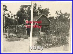 ORIGINAL Unpublished ANTIQUE PHOTOS of ARTIST EDGAR PAYNE'S HOME-LAGUNA BEACH CA