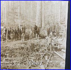 Pennsylvania State College Area Logging Boarded Antique Photo Walt 1900's
