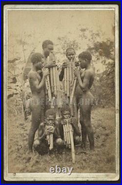 Rare 1800s Photo Native Solomon Islands Panpipe Musician Papua New Guinea Ethnic