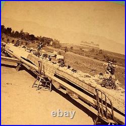 Rare 1880s RAYMOND HOTEL South Pasadena CA California Antique Stereoview PHOTO