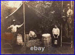 Rare Vintage Old Outdoor Antique Photo Men Pear Fruit Farm Barrel New Jersey USA