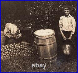 Rare Vintage Old Outdoor Antique Photo Men Pear Fruit Farm Barrel New Jersey USA