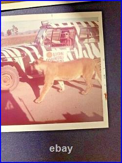 Rare Vtg Photo Album Antique Europe / NY 100 Pic Car, Wild Animal, Ship, Family