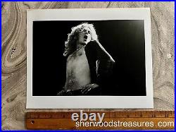 Robert Plant Richard E. Aaron Vintage Led Zeppelin Concert Photo 8 10