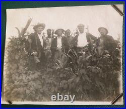 Set Of 39 Original Antique Farming Photographs From The Belgian Congo, 1920s