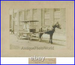 St. Louis Ice Cream seller on horse carriage Reading PA antique photo